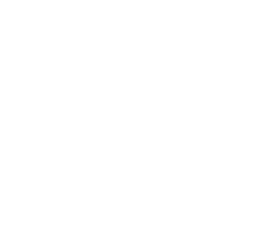 people pyramid icon