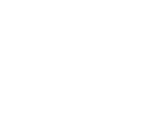 recycle ICON